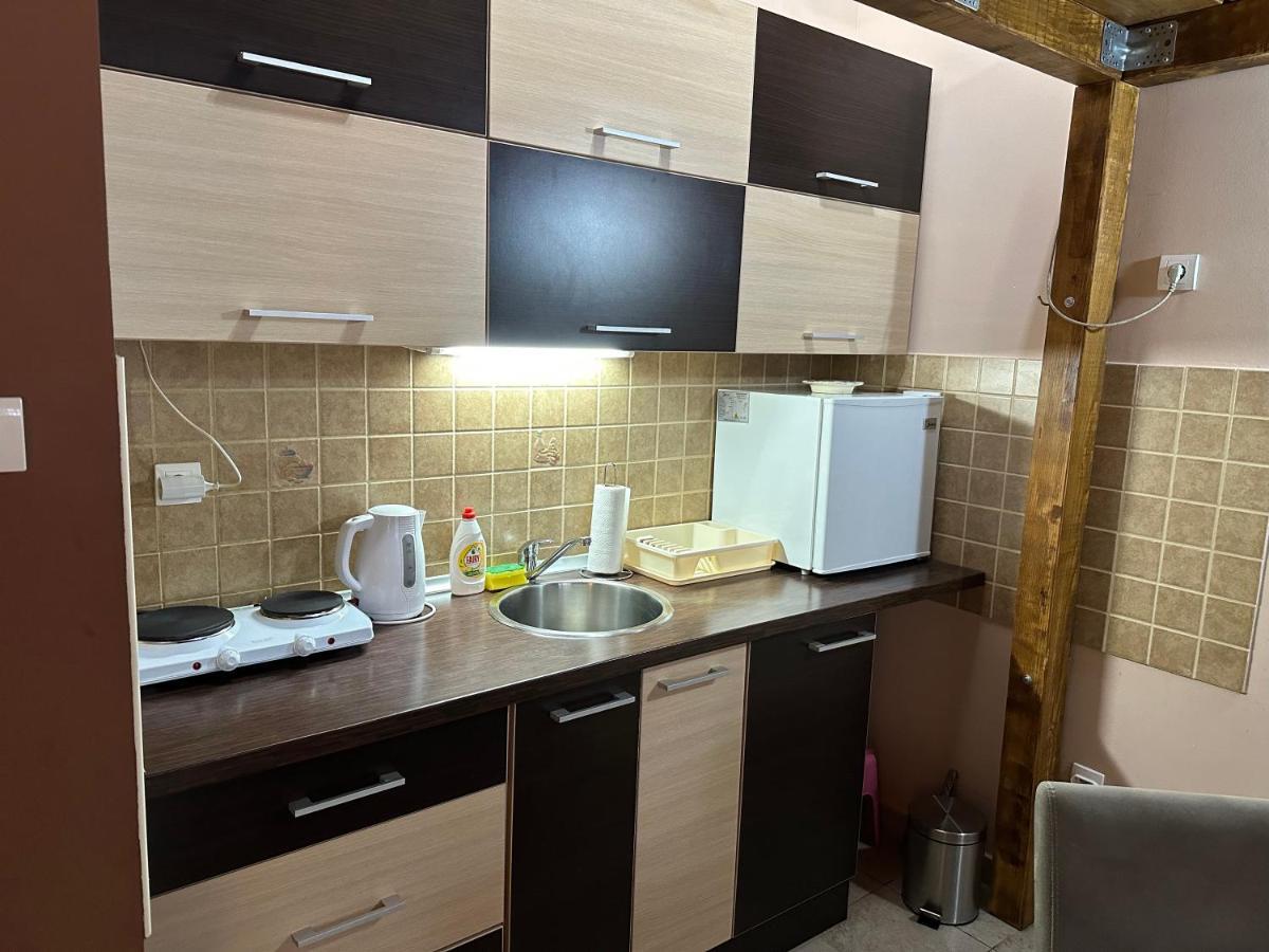 Apartman Planinski Raj Kopaonik Kültér fotó